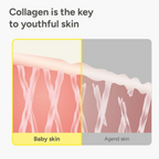 Volufiline Anti-Wrinkle Essence Collagen Serum